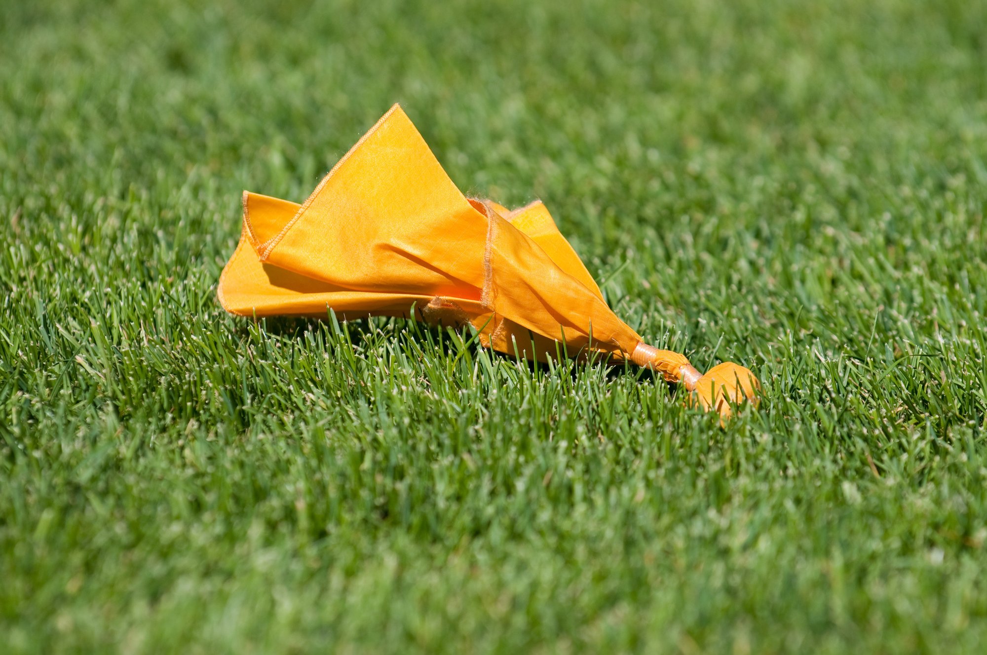 Flag Flag